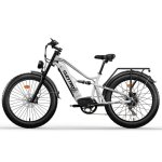 Bici Elettrica Cleytro 750W 48V 18Ah Ruote Grasse 26" Autonomia 90km