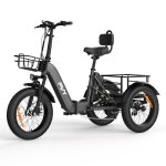 Triciclo eléctrico PVY F20 48V 21Ah 80km 20"