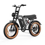 Bicicleta Eléctrica PVY A20 48V 20Ah 80km 20" 25km/h Gris