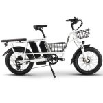 Bicicleta Eléctrica Philodo Traveller Doble Batería 1000W 48V Plegable