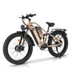 Bicicleta eléctrica Philodo Jumbo Doble Motor 1000W 48V 23Ah Todoterreno