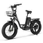 Bicicleta Eléctrica Philodo T1 Motor 750W Batería 48V 20Ah Plegable