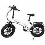 Bicicleta Eléctrica Puluma EB FM-2.0 500W 48V 15Ah 20"