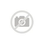 Etichetta Brother per stampante termica diretta 55x50mm pack 8 rotoli