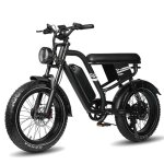 Velo Electrique Maxturn MX10 250W 48V 13,5Ah 20pouces