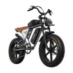 Velo electrique Jansno X70 Double Batterie 48 V