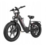 E-Bike Nathaniel SYR08 Dualmotor 1000W 48V 20Ah 20 Zoll