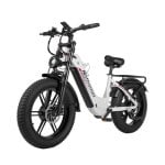 Bicicleta eléctrica Nathaniel SYR08 doble motor 2000W 48V 20Ah todoterreno