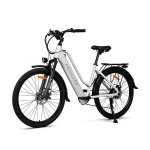Elektrisches Fahrrad Hedatx TX2 500W 48V 16Ah SHIMANO 7 Gange
