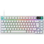 Clavier compact Logitech G316 X 75 8 kHz avec switches tactiles interchangeables, éclairage RGB, touches PBT