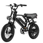 Bicicleta eléctrica AVDL A13 plegable 16" 250W batería 36V 12,8Ah IPX4