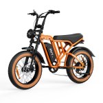 Bicicletta Elettrica PVY A20 250W 48V 20Ah All-terrain