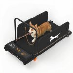 Laufband Rolipo GP30B 2 in 1 leise klappbar