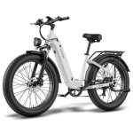 Bicicleta Eléctrica Fafrees F26 Rover 250W 48V 20Ah 26"