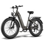Velo electrique FAFREES F26 ROVER 250W 48V 20Ah