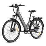 Vélo Électrique Fafrees F28 Pro 250W Batterie 36V 15Ah 27,5 Pouces Gris