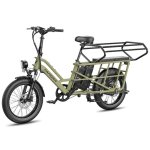 Vélo électrique Fafrees FF20 CUV 250W double batterie 48V 12Ah 20"