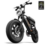 E-Bike URLIFE T16 48V 500W 16×3.0 Reifen Vorderfederung Scheibenbremsen