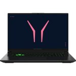 Ordinateur portable Medion ERAZER Defender 17 P10 17.3" Intel Core i9-14900HX 32GB 1TB SSD RTX 5070 Windows 11