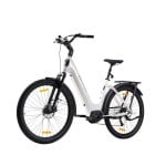 Elektrische Fiets TTGO Z5 250W Middenmotor
