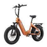 Bicicleta eléctrica TTGO F6 Boost 250 W 48 V 18 Ah 20 x 4,0"