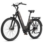 Bicicletta Elettrica TTGO C7 SE Motore Centrale 250W 36V 18Ah