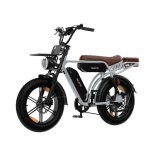 Bicicleta Eléctrica Velopro M9 250W 48V 35Ah Ruedas Anchas