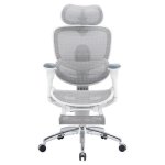 Sihoo C300 Pro V2 Chaise ergonomique, soutien lombaire auto ajuste