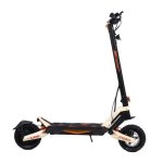 Patinete électrique Freeboy G2 800W Autonomie 50km Pneus 10'' Suspension Disque IPX5