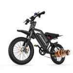 Moto Eléctrica AONPO V21 1000W 52V 20Ah Neumáticos 17"x4"