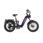 Vélo électrique de charge Cyrusher Kommoda 3.0 20 pouces