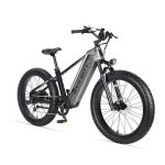 Vélo électrique Cyrusher Zenith Fat Tire 52V 15Ah gris puissant