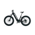 Bicicleta Eléctrica Cyrusher Aura Motor 52V 250W Batería 780Wh