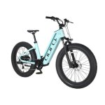 Velo electrique Cyrusher Aura Tout Terrain 52V 250W