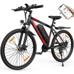 Velo Electrique Varun M27-1 Pro 250W 48V13Ah