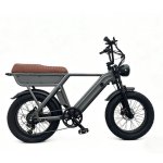 Velo electrique Yangor Y20 Pneus Longs 48V 15Ah