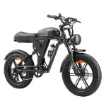 Bicicleta Eléctrica Sinohon AB20 1000W 48V 18Ah Off-road