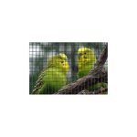 Panel de valla malla cuadrada Nature acero galvanizado plastificado verde 0,50 x 3 m