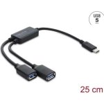 Hub Delock 2 Ports 5 Gbit/s USB-C Modell 64373 kompakt und schnell