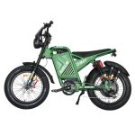 Elektrische Fiets Baolujie DM01 Motor 2000W Batterij 60V25Ah