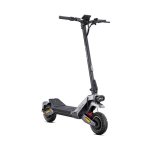 Monopattino elettrico ENGWE Y1000 800W Doppio motore Autonomia 100km Pieghevole Grigio