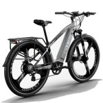 Bicicletta elettrica Cysum Speedy 29" 500W 48V 15Ah pneumatici 29" grigio