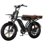 Bicicletta Elettrica VELOPRO M9 250W 48V 35Ah 20 Pollici Pneumatici Larghi Nero
