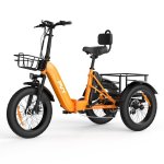 Triciclo PVY F20 48V21Ah 80km Arancione