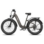 Vélo électrique Fafrees F26 Rover 48V 20Ah 250W pneus larges 26x4,0