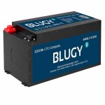 Accu Blugy 320Ah 4096Wh LiFePO4 12V met BMS en Bluetooth