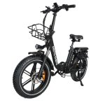 Vélo électrique Baolujie DZ-2030 Chef Moto 500W 48V batterie 16Ah
