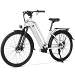 Bicicletta Elettrica Hedatx Paselec TX10 250W 48V 19,2Ah 7 velocita