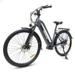 Veloce Elettrico Hedatx Paselec TX10 250W 48V 19,2Ah Grigio