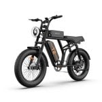 Velo electrique URLIFE T2 250 W 48 V 15,6 Ah 20 x 4